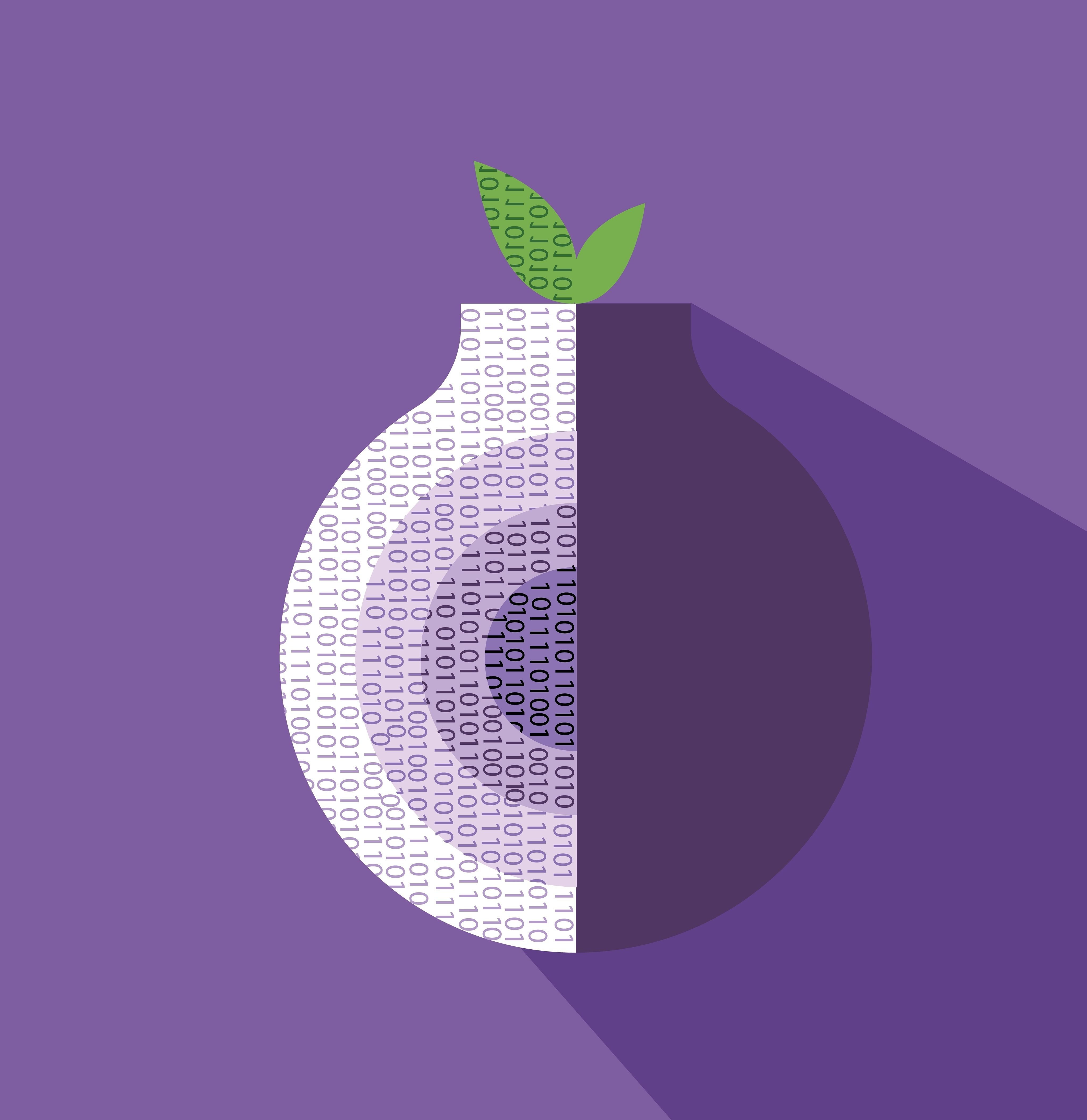 A cartoon of the Tor logo.